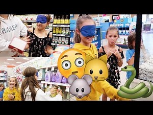 Buying EVERYTHING I touch Blindfold Challenge! Its R Life