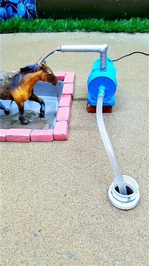 Mini motor water pump and mini horse bath video #shorts #project #trending #minitractor #short # 204