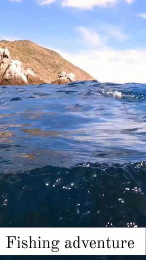 277K views · 2.8K reactions | Crazy Sea Lion Tried To Steal My Fishing! 玲 #fishing #spearfishing #UnderwaterAdventure #sea #fblifestyle | fishing Adventure TV | Facebook