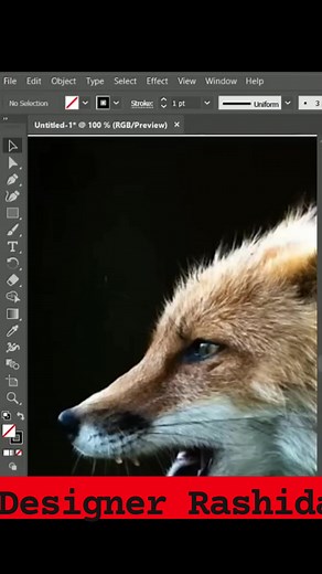 3K views · 65 reactions | Angry fox logo design using adobe illustrator #angry #fox #logo #facebookreel #foryouシ #viral | Rashida Khatun 0.1 | Facebook