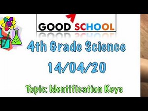 4th Grade Science - 14/04/20: Identification Keys