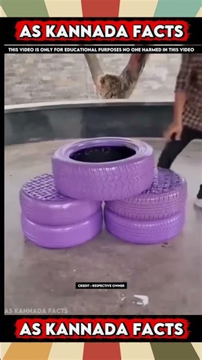 Japan Tyre Recycling Fact | #kannada #facts #karnataka #amazing #youtubeshorts #trendingshorts