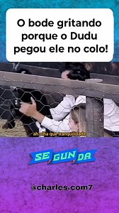 O bode gritando porque o Dudu pegou ele no colo! #AFazenda17 #reality | Charles Silva