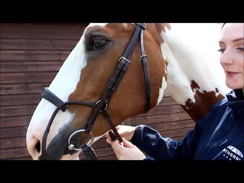 How to Fit a Collegiate ComFiTec Bridle | Collegiate UK