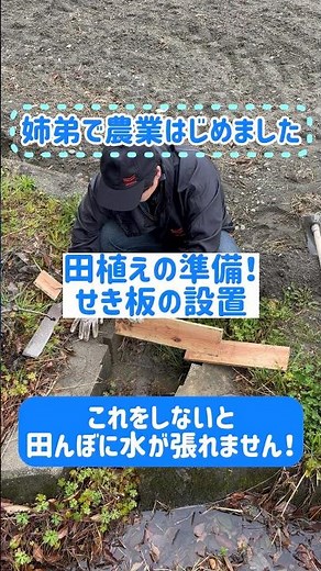 これをしないと田んぼに水張れない！！せき板の設置は必須作業！