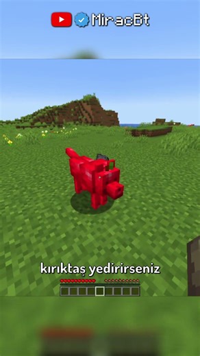 MİNECRAFT'TA BU MOD ELMADAN OLUŞAN KÖPEK EKLİYOR?! ⛏🧿