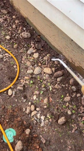 Termites in Atlanta? We stop them at the source.