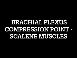 Brachial Plexus compression point - Scalene muscles