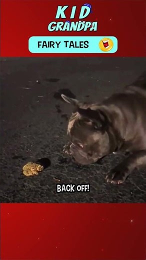 Crazy Little Dog Meme 🤣 #shorts #funnypets #animalmemes