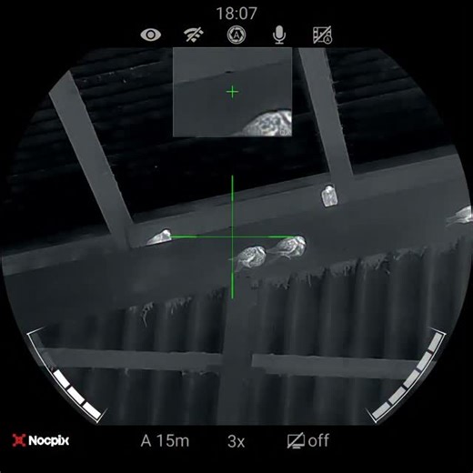vermin & pest control 💯💥🐀👌 on Instagram: "Out controlling feral pigeons with this absolutely brilliant set up. RTI Arms MORA Paired with the Nocpix Ace H50 Nocpix QUEST H50R BINOCULARS!!! Extremely impressed with the picture quality through the scope and binoculars. Just editing my latest youtube channel video 📹 I'll get the full video up as soon as possible. Session preview Kit used while out RTI Arms MORA. 22 NocPix Ace H50 Nocpix Quest H50R binoculars SunwayfotoT3620CS tripod system JSB 