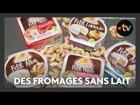 Dairy-free cheeses made from cashew nuts