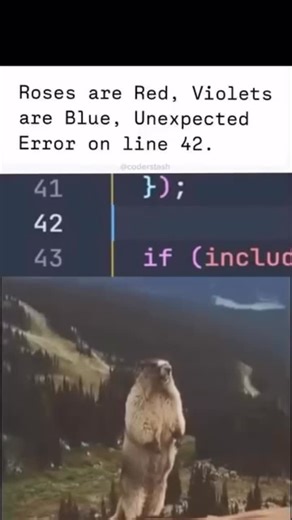 Programmer Guide | 😂😂😂😂 #codingmemes #Coding #Al #JavaScript #ComputerScience #Python #SoftwareDeveloper #WebDeveloper #FullStackDeveloper #FrontendDeveloper... | Instagram
