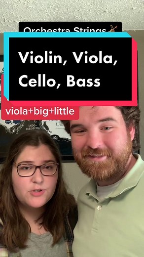 Exploring the Origins of Orchestra Stringed Instruments