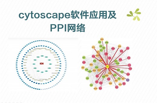 Cytoscape软件使用以及PPI（蛋白质）互作网络构建，一次学会！