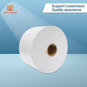 [Hot Item] Premium PVC Label Material for Custom Branding Solutions