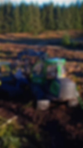 Understanding Wetland Timber Extraction Techniques