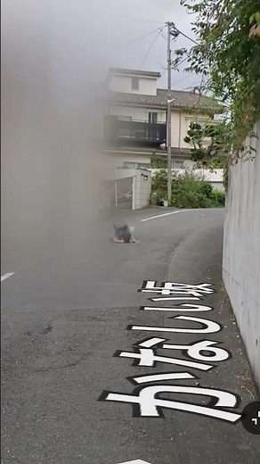 Googleマップで見つけた奇跡すぎる瞬間！