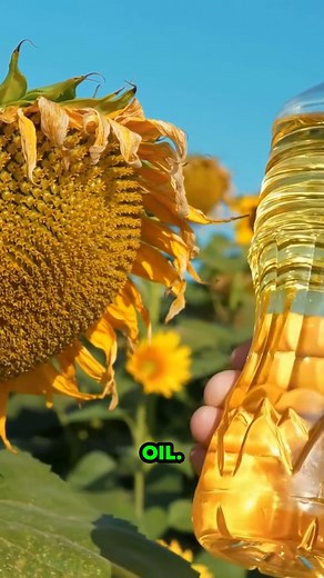 36K views · 1K reactions | The Mystery Behind Doritos—Revealed! #doritossecrets #snackfacts #foodmystery #chiplover #behindthescenes #snacktime #funfoodfacts #crunchytruth #snackattack #flavorunlocked | Diet & healthy By Dr | Facebook