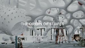 The Origin of Stripes