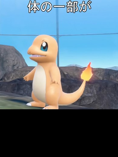 ほのおタイプポケモンの炎の魅力