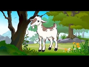Canciones infantiles sal de ahi chivita chivita