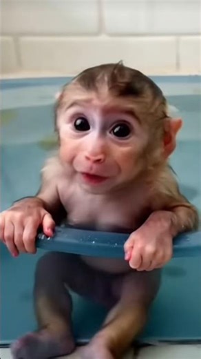 Baby Monkey’s First Bath Turns Into a Splash Party! 🛁🐒❤️