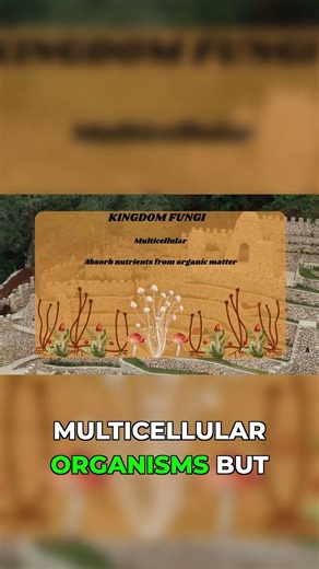 The 6 Kingdoms of Life explained! 🍄🌳🦠