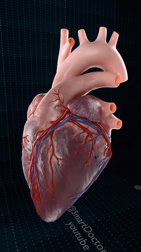 70K views · 965 reactions | Close Up of a Beating Heart | (Full) 變 ....