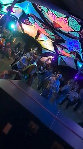 SETI Project - Our Creators live at Solomonari Festival 2026!