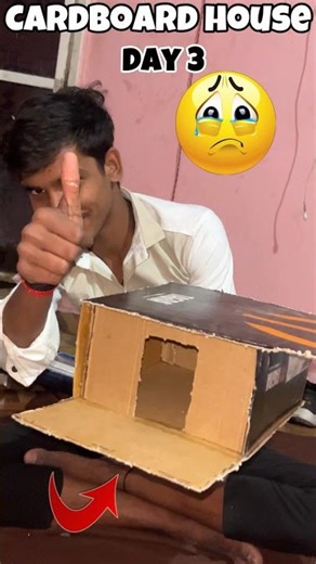Cardboard mini house day 3 #minivlog #vlog