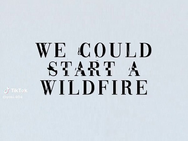 Understanding Wildfires: Causes and Effects