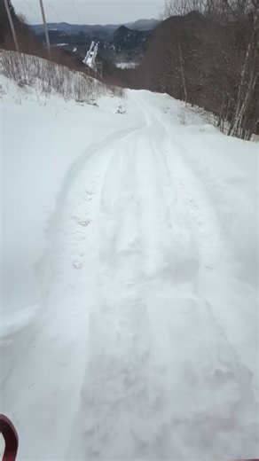Our adventures are always a blast, but they’re only fun when you come out and join us!! Book your tour today! ✨link in bio✨ #zipline #alpineadventures #whitemountainsnh #winter | Alpine Adventures NH