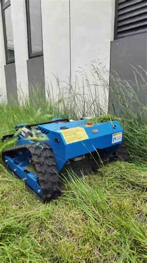 look at this grass！let's see how does Tovisen-Lawn Mower work！
