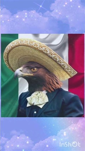 The Golden Eagle (Aquila chrysaetos), #golden eagle # mexico # shorts