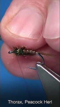 Soft Hackle Pheasant Tail