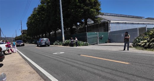 ICE raids cannabis-growing facility in Carpinteria