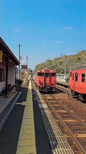 Peaceful Japan Countryside Life