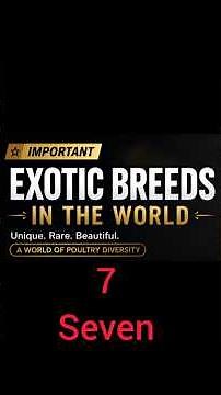 7 Exotic Chicken Breeds You Must See! 🐔🌍