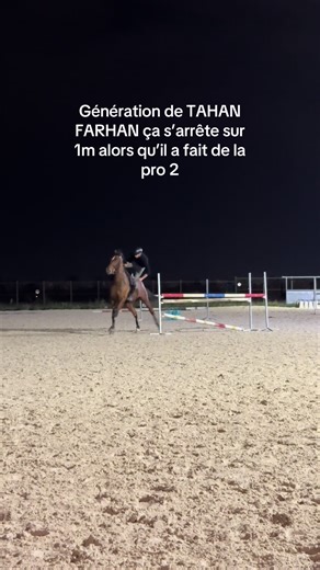 En même temps avec moi sur le dos il est pas aidé le pauvre #humour #cso #cheval