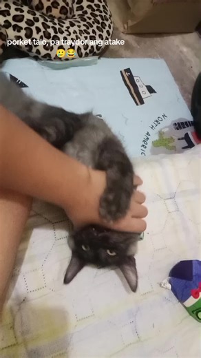 Amazing Joy on TikTok