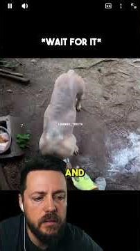 He Saved His Dog’s Life… 💀😭 #scary #scarystories #creepy