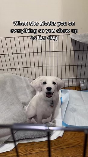 Its Me Baby TikTok Song