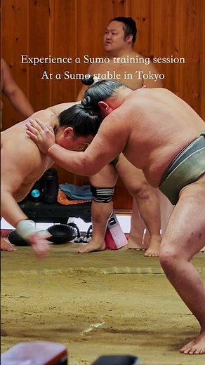 Experience Sumo: Private Guided Morning Practice Tour and Learn About Japan's National Sport #japan