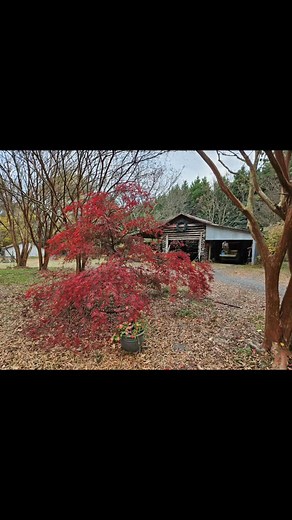 11 reactions | Susan Walker on Reels | Facebook