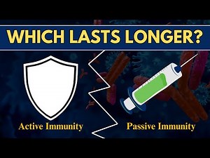 Active vs. Passive Immunity Explained | Types, Differences & Examples | Immunology Basics