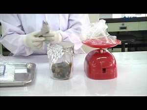 Microbiology Lab Practical: Microbiological analysis of food sample (Aerobic Plate Count)