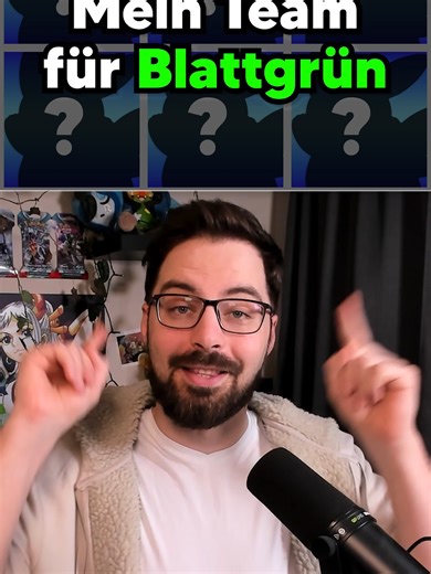 Mein Pokémon Team für Feuerrot & Blattgrün