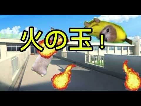 猫ミーム鬼ごっこ(逃走中)総集編【猫ミーム】【猫マニ】