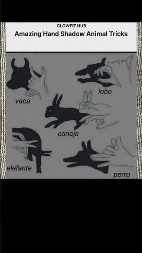 Amazing Hand Shadow Animal Tricks 🐶🐰🐘 | Can You Make These With Your Hands? 😱