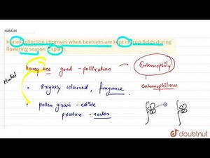 Honey collection improves when beehives are kept in crop-fields during flowering season. Explain.